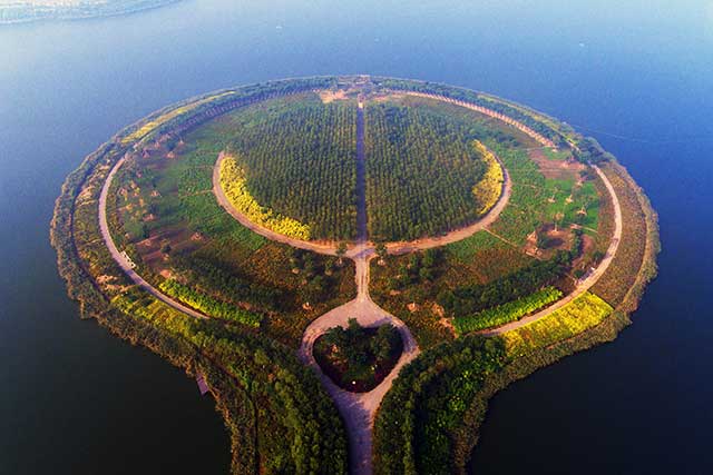 6-中新天津生態(tài)城綠化養(yǎng)護(hù)項(xiàng)目.jpg 6-中新天津生態(tài)城綠化養(yǎng)護(hù)項(xiàng)目.jpg