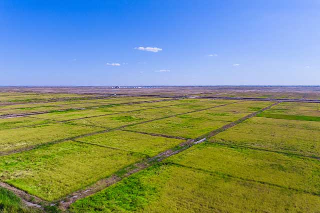 5-鎮(zhèn)賚鹽堿地改造項(xiàng)目.jpg 5-鎮(zhèn)賚鹽堿地改造項(xiàng)目.jpg